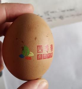 鸡蛋彩色印刷
